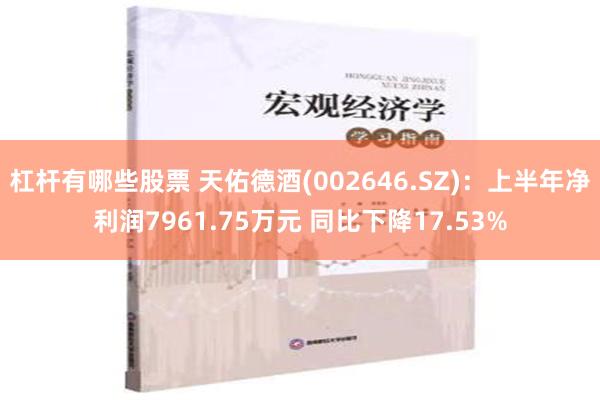 杠杆有哪些股票 天佑德酒(002646.SZ)：上半年净利润7961.75万元 同比下降17.53%