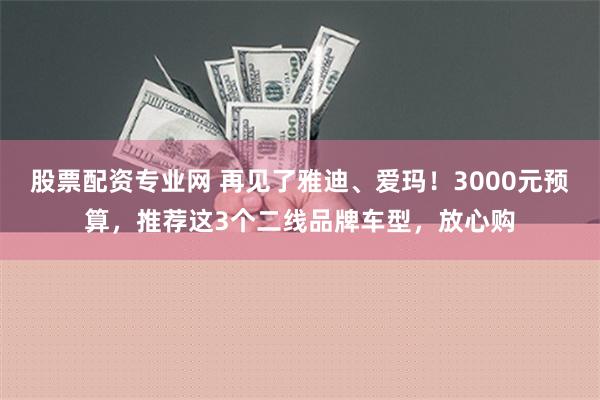 股票配资专业网 再见了雅迪、爱玛！3000元预算，推荐这3个二线品牌车型，放心购