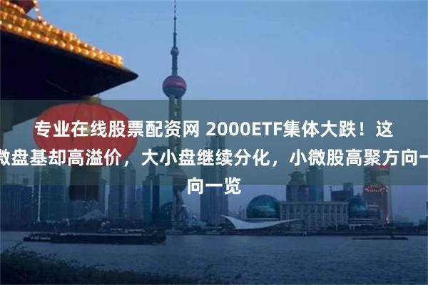 专业在线股票配资网 2000ETF集体大跌！这只微盘基却高溢价，大小盘继续分化，小微股高聚方向一览