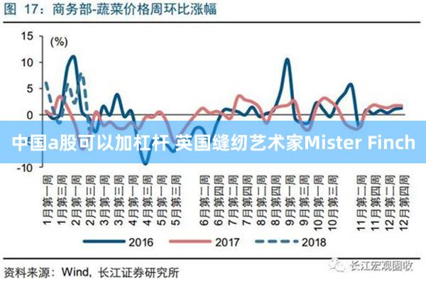 中国a股可以加杠杆 英国缝纫艺术家Mister Finch